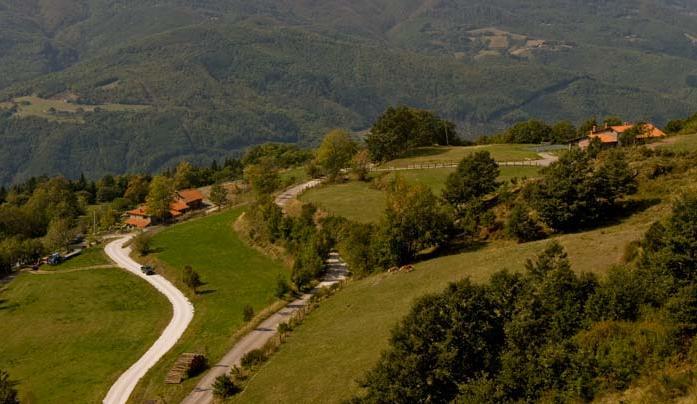 Agriturismo Il Serrino San Marcello Pistoiese Zewnętrze zdjęcie
